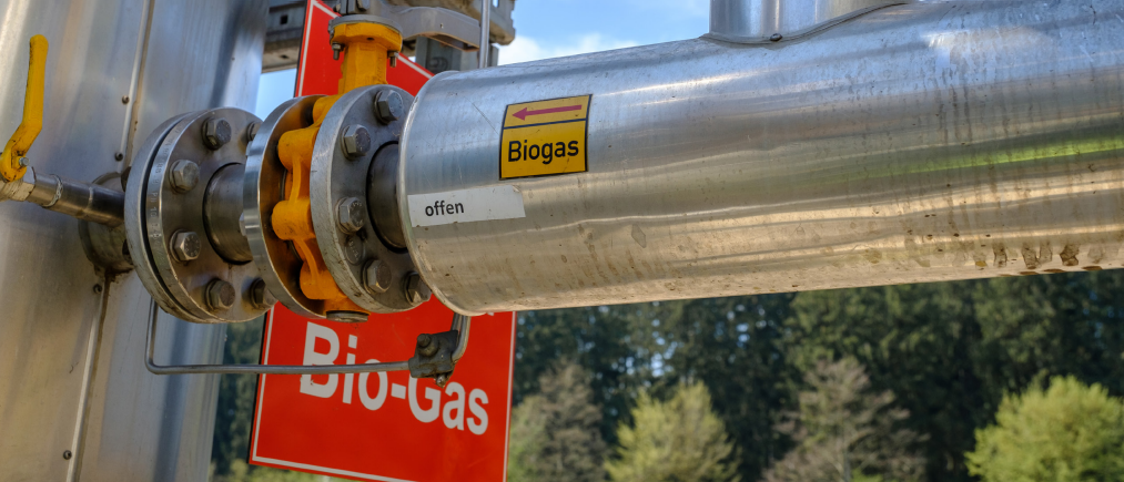 Biogas delivery and storage system